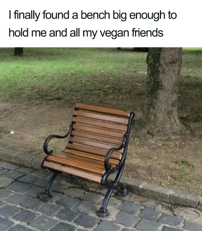 vegan vegan bench meme - I finally found a bench big enough to hold me and all my vegan friends