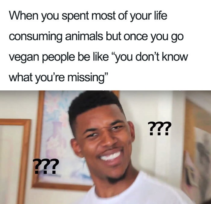 vegan henny memes - When you spent most of your life consuming animals but once you go vegan people be "you don't know what you're missing" ???