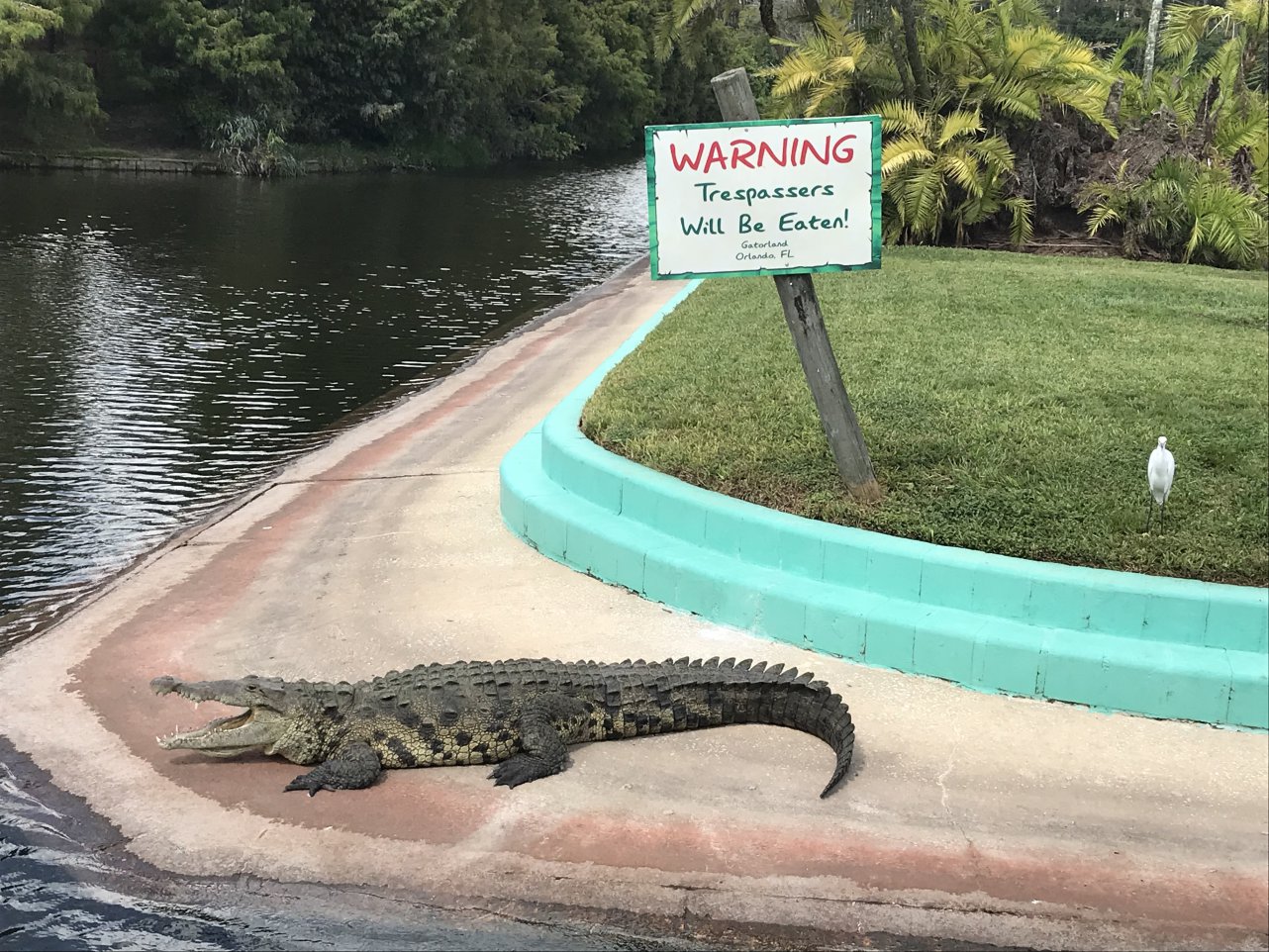 alligator - Warning Trespassers Will Be Eaten! Gatorland Orlando, Fl Wa