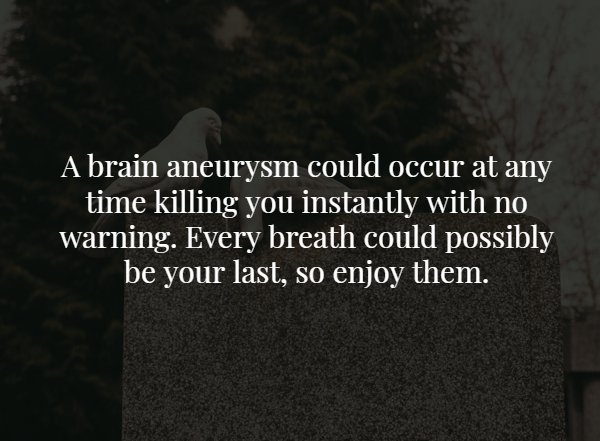 darkness - A brain aneurysm could occur at any time killing you instantly with no warning. Every breath could possibly be your last, so enjoy them.