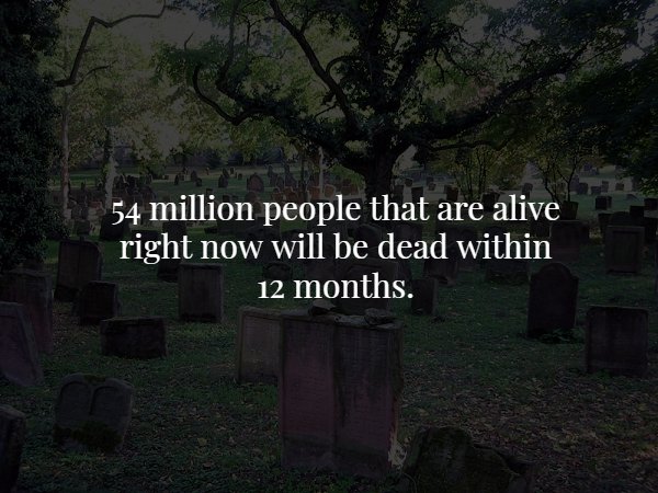 tree - 54 million people that are alive right now will be dead within 12 months.