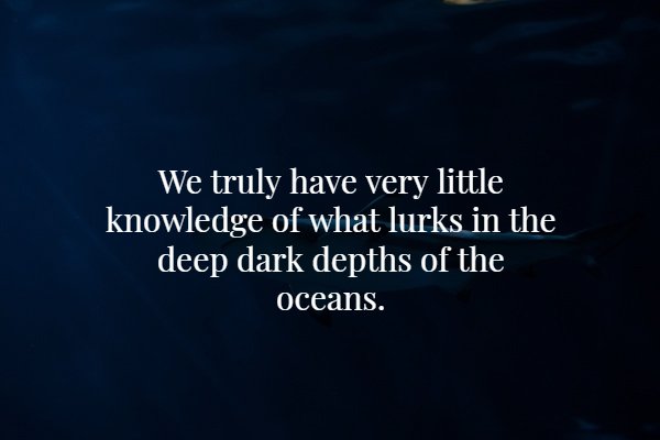 deep facts about love - We truly have very little knowledge of what lurks in the deep dark depths of the oceans.