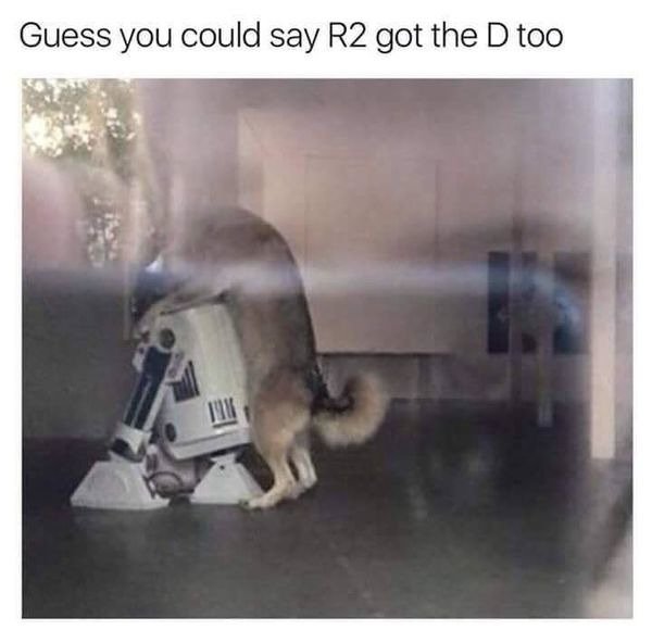 r2d2 meme - Guess you could say R2 got the D too