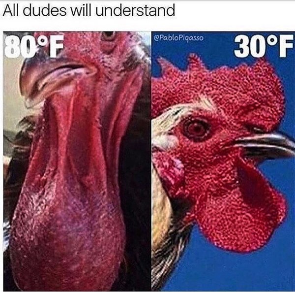 only guys will understand meme - All dudes will understand Picasso 80F 30F