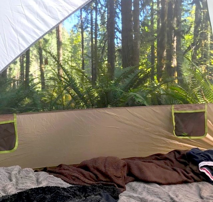 The edge of the tent creates a visual illusion, making the real forest look like photo wallpaper.