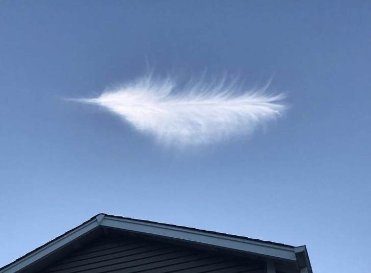 A cloud that looks more like a feather