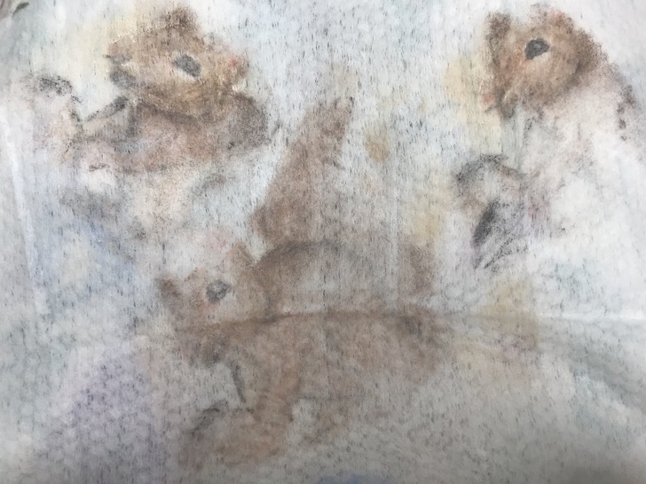 The stains on this makeup remover napkin look like 3 squirrels, painted in watercolor. Anyway, once seen, they’re very hard to unsee!