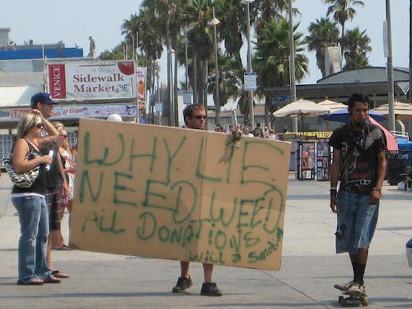 we need weed homeless sign - Venice Sidewalk Market All Donat Velu Will 3