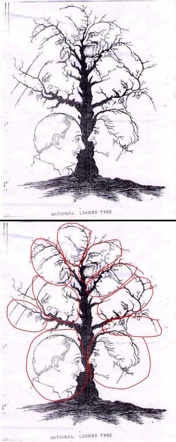 optical illusion ambiguous illusion - National Leaders Tree Vio National Leaders Tree