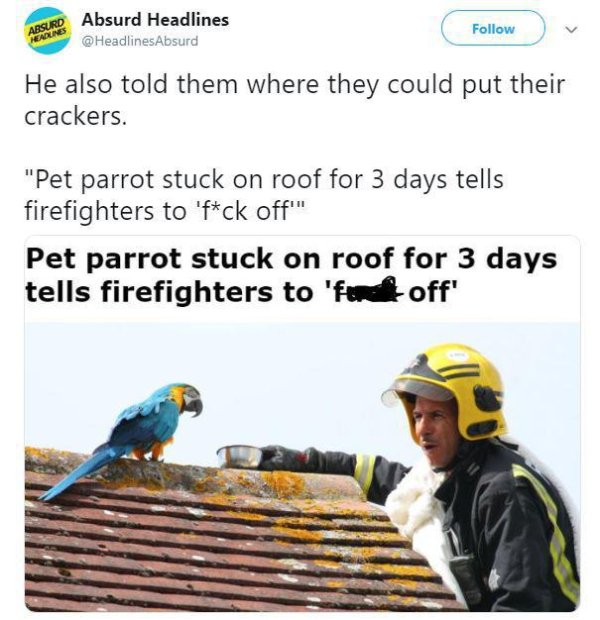 parrot fuck off firefighters - Absurd Absurd Headlines He also told them where they could put their crackers. "Pet parrot stuck on roof for 3 days tells firefighters to 'fck off Pet parrot stuck on roof for 3 days tells firefighters to 'fred off'