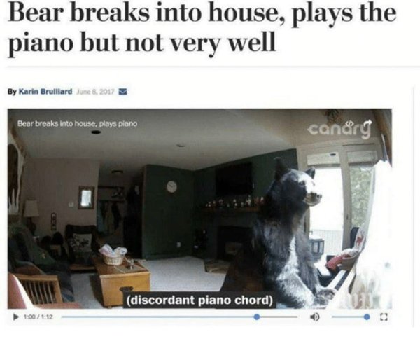 bear breaks into house plays piano - Bear breaks into house, plays the piano but not very well By Karin Brulliard Bear breaks into house, plays piano candry discordant piano chord