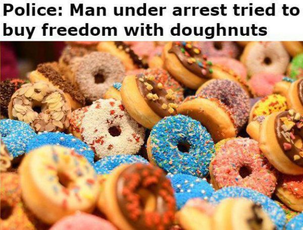 fattening foods - Police Man under arrest tried to buy freedom with doughnuts