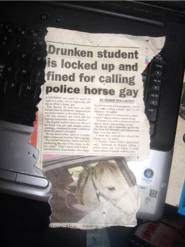 horse in car - Ue Drunken student is locked up and fined for calling police horse gay A Student was made to spend the By Oliver Stallwood in ce cell for you officeho sweet home Saw 21 had been with h e friends when he drunkenly starrmed out oflemive, he a