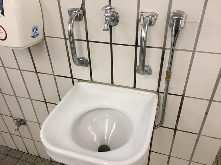 You can find these types of sinks in Germany. They are for people who drank too much.