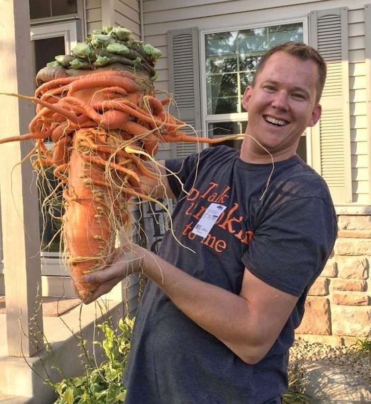 This carrot weighs 22 lbs.