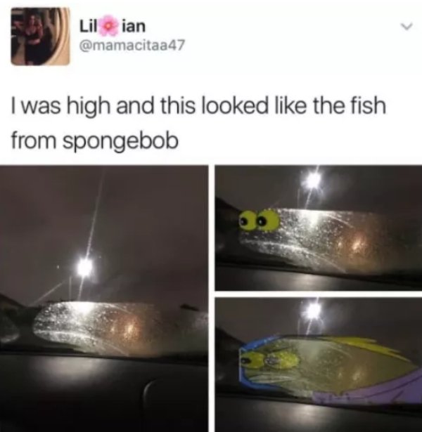 material - Lilian I was high and this looked the fish from spongebob