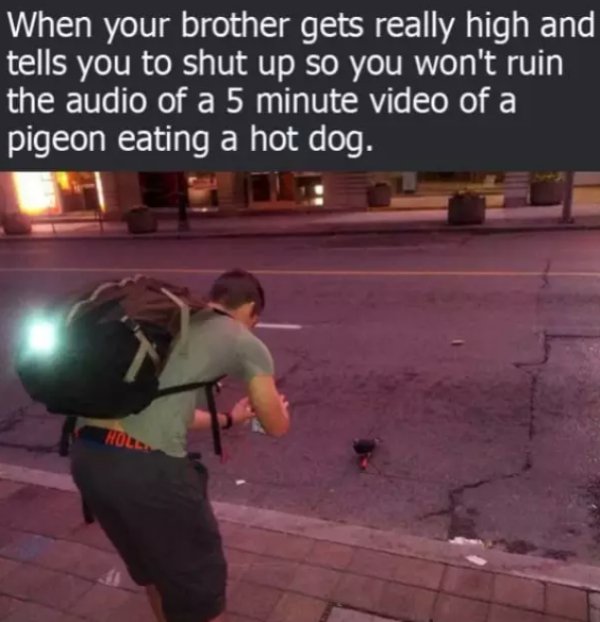photo caption - When your brother gets really high and tells you to shut up so you won't ruin the audio of a 5 minute video of a pigeon eating a hot dog.