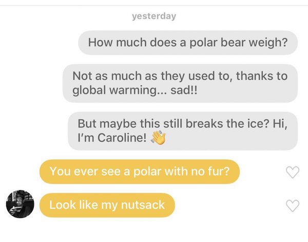 organization - yesterday How much does a polar bear weigh? Not as much as they used to, thanks to global warming... sad!! But maybe this still breaks the ice? Hi, I'm Caroline! You ever see a polar with no fur? e Look my nutsack B