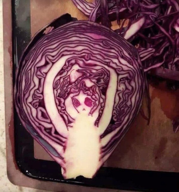 inside a cabbage