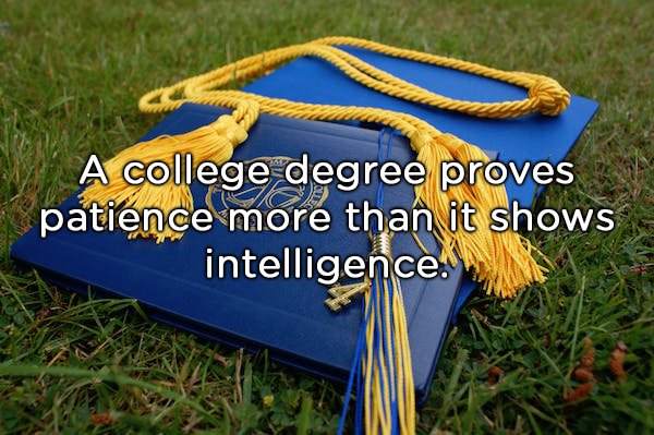 Diploma - A college degree proves patience more than it shows intelligence.