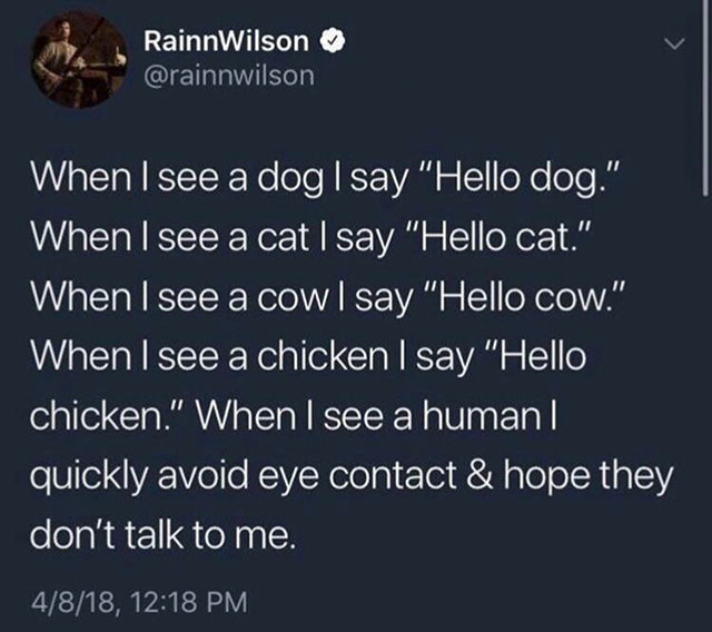 respect your man - Rainn Wilson When I see a dog I say "Hello dog." When I see a cat I say "Hello cat." When I see a cow I say "Hello cow." When I see a chicken I say "Hello chicken." When I see a human || quickly avoid eye contact & hope they don't talk 