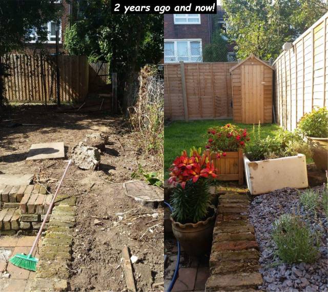 yard - 2 years ago and now!