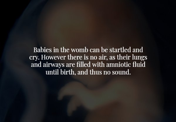 atmosphere - Babies in the womb can be startled and cry. However there is no air, as their lungs, and airways are filled with amniotic fluid until birth, and thus no sound.
