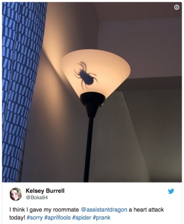lamp - Kelsey Burrell I think I gave my roommate a heart attack today!