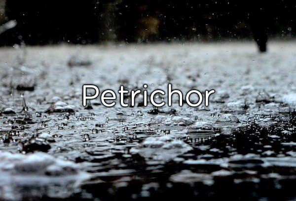 rain water - Petrichore in