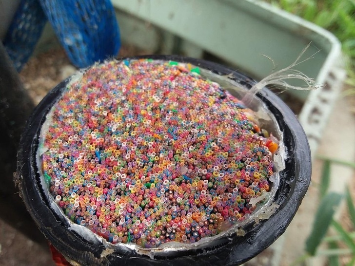 A telephone cable cut open