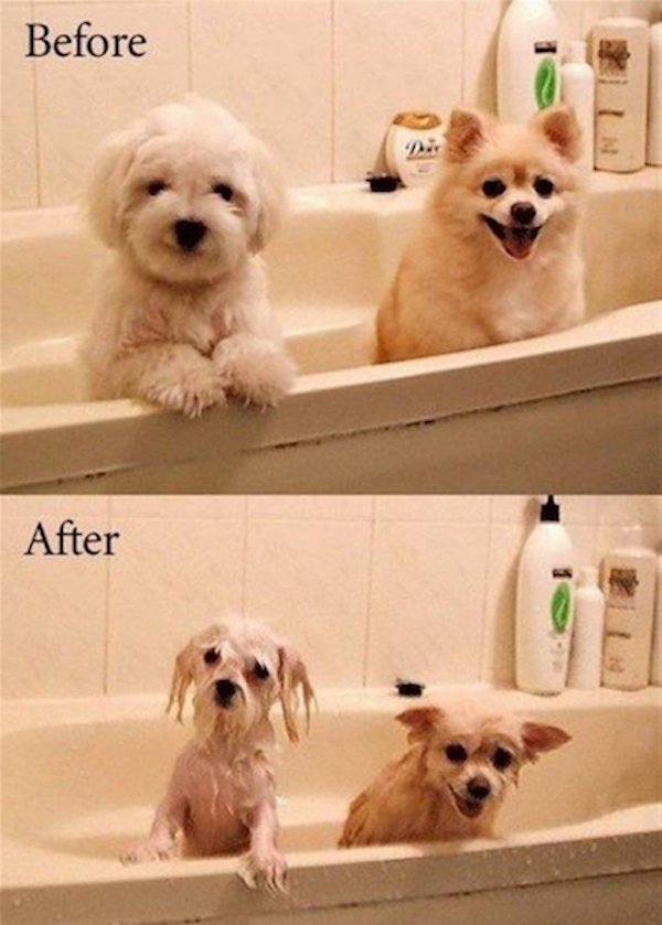 funny after - Before After