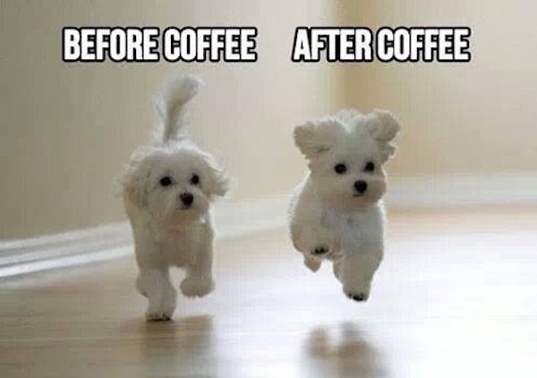 cute good morning meme - Before Coffee After Coffee