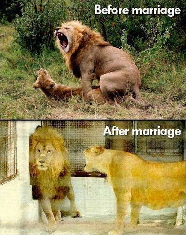 funny before and after - Before marriage After marriage