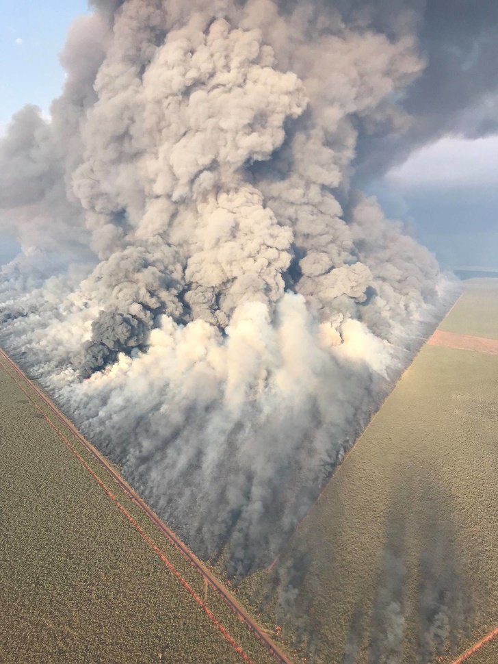 Have you ever seen firebreaks in action?