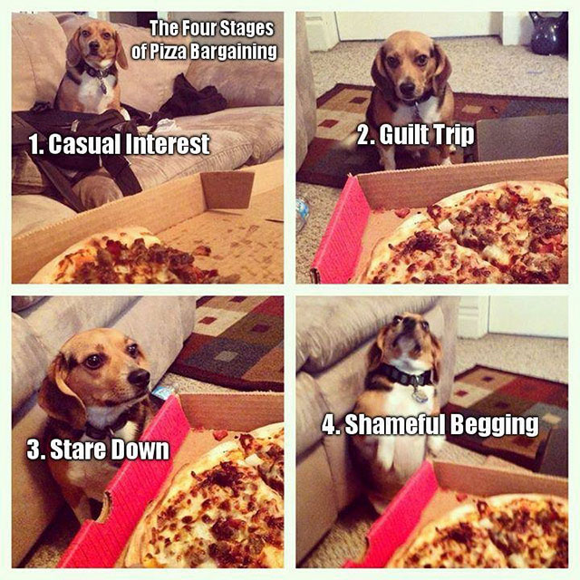 four stages of pizza bargaining - The Four Stages of Pizza Bargaining 1. Casual Interest 2. Guilt Trip 4. Shameful Begging 3. Stare Down