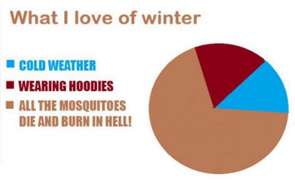 good things about winter - What I love of winter Cold Weather Wearing Hoodies All The Mosquitoes Die And Burn In Hell!
