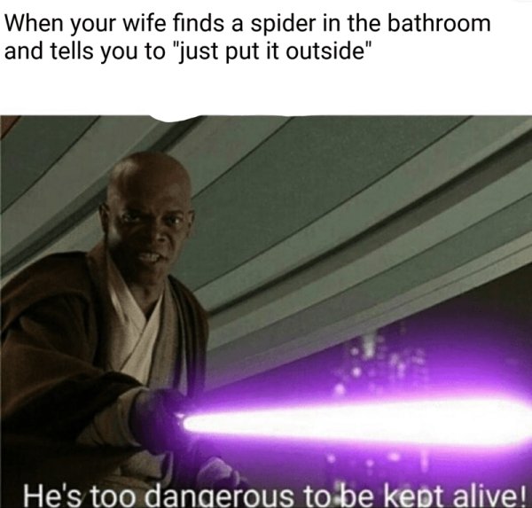 mace windu - When your wife finds a spider in the bathroom and tells you to "just put it outside" 'He's too dangerous to be kept alive!