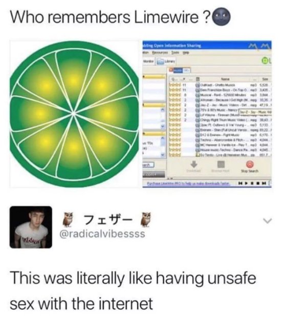 early 2000s meme - Who remembers Limewire ? g inem Sharing G . Go . Svet 1 Ware This was literally having unsafe sex with the internet