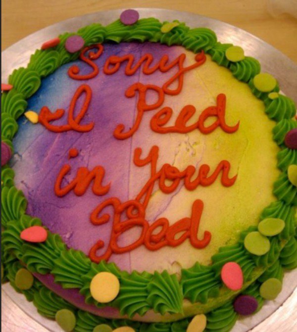 sorry i peed in your bed cake - sorry