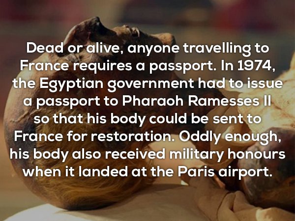 useless facts - Dead or alive, anyone travelling to France requires a passport. In 1974, the Egyptian government had to issue a passport to Pharaoh Ramesses Ii so that his body could be sent to France for restoration. Oddly enough, his body also received 