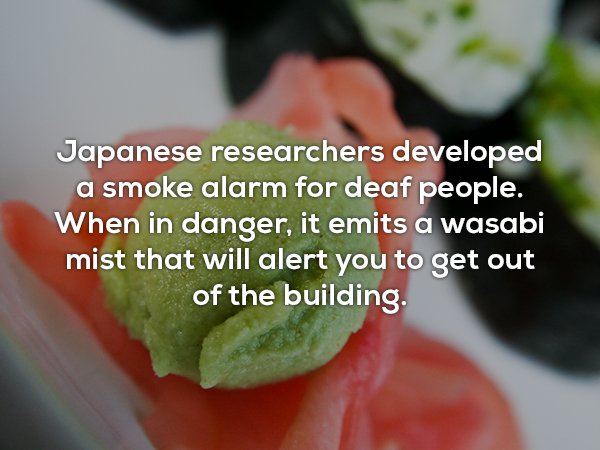 watermelon - Japanese researchers developed a smoke alarm for deaf people. When in danger, it emits a wasabi mist that will alert you to get out of the building.