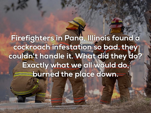photo caption - Firefighters in Pana, Illinois found a cockroach infestation so bad, they couldn't handle it. What did they do? Exactly what we all would do, burned the place down.