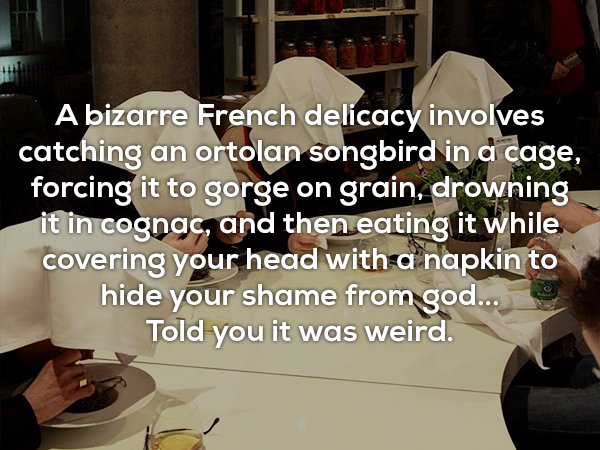photo caption - A bizarre French delicacy involves catching an ortolan songbird in a cage, forcing it to gorge on grain, drowning it in cognac, and then eating it while covering your head with a napkin to hide your shame from god... 9 Told you it was weir