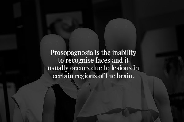 monochrome photography - Prosopagnosia is the inability to recognise faces and it usually occurs due to lesions in certain regions of the brain.