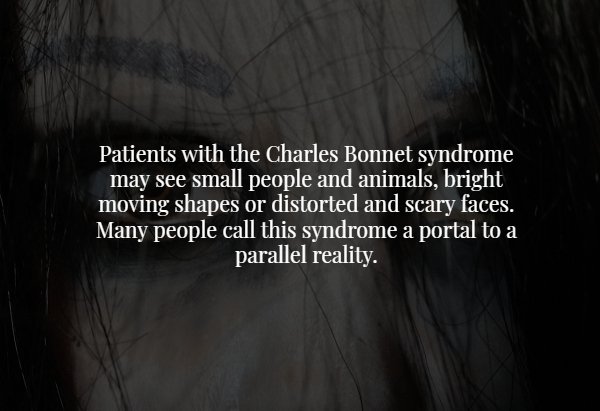 darkness - Patients with the Charles Bonnet syndrome may see small people and animals, bright moving shapes or distorted and scary faces. Many people call this syndrome a portal to a parallel reality.