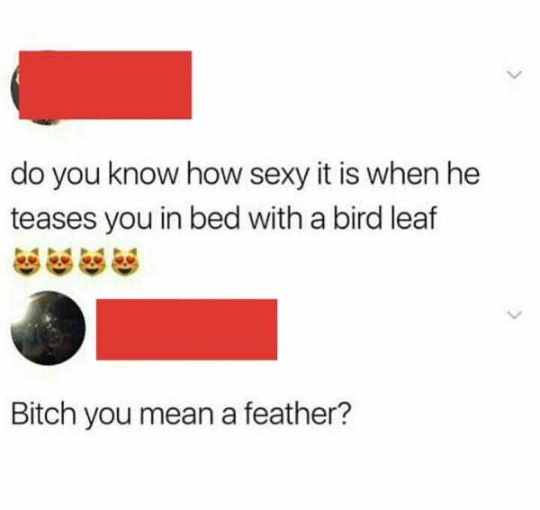bird leaf - do you know how sexy it is when he teases you in bed with a bird leaf Bitch you mean a feather?