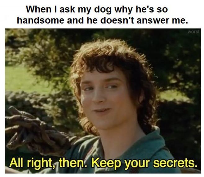 ok keep your secret meme of when you dog won't tell you who's a handsome boy