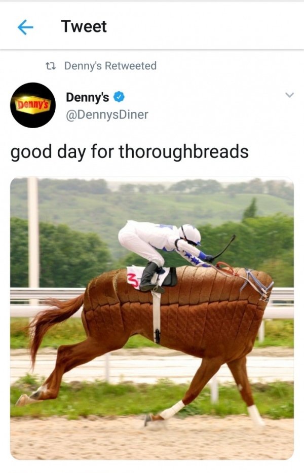 pure bread horse - Tweet t? Denny's Retweeted Denny's Denny's good day for thoroughbreads
