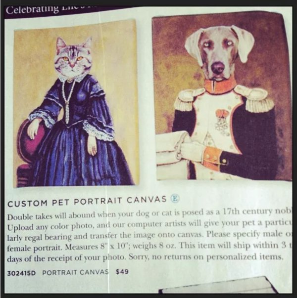 costume design - Celebrating Lu Custom Pet Portrait Canvas E Double takes will abound when your dog or cat is posed as a 17th century nob Upload any color photo, and our computer artists will give your pet a particu larly regal bearing and transfer the im