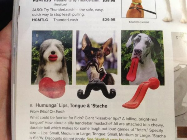 stupid skymall stuff - HGMIU2U meduler Uldy Futubishifl 539.95 Medium Also Try ThunderLeash the safe, easy, quick way to stop leash pulling Hgmtlg ThunderLeash $29.95 ThunderLeash 8. Humunga Lips, Tongue & 'Stache From What On Earth What could be funnier 